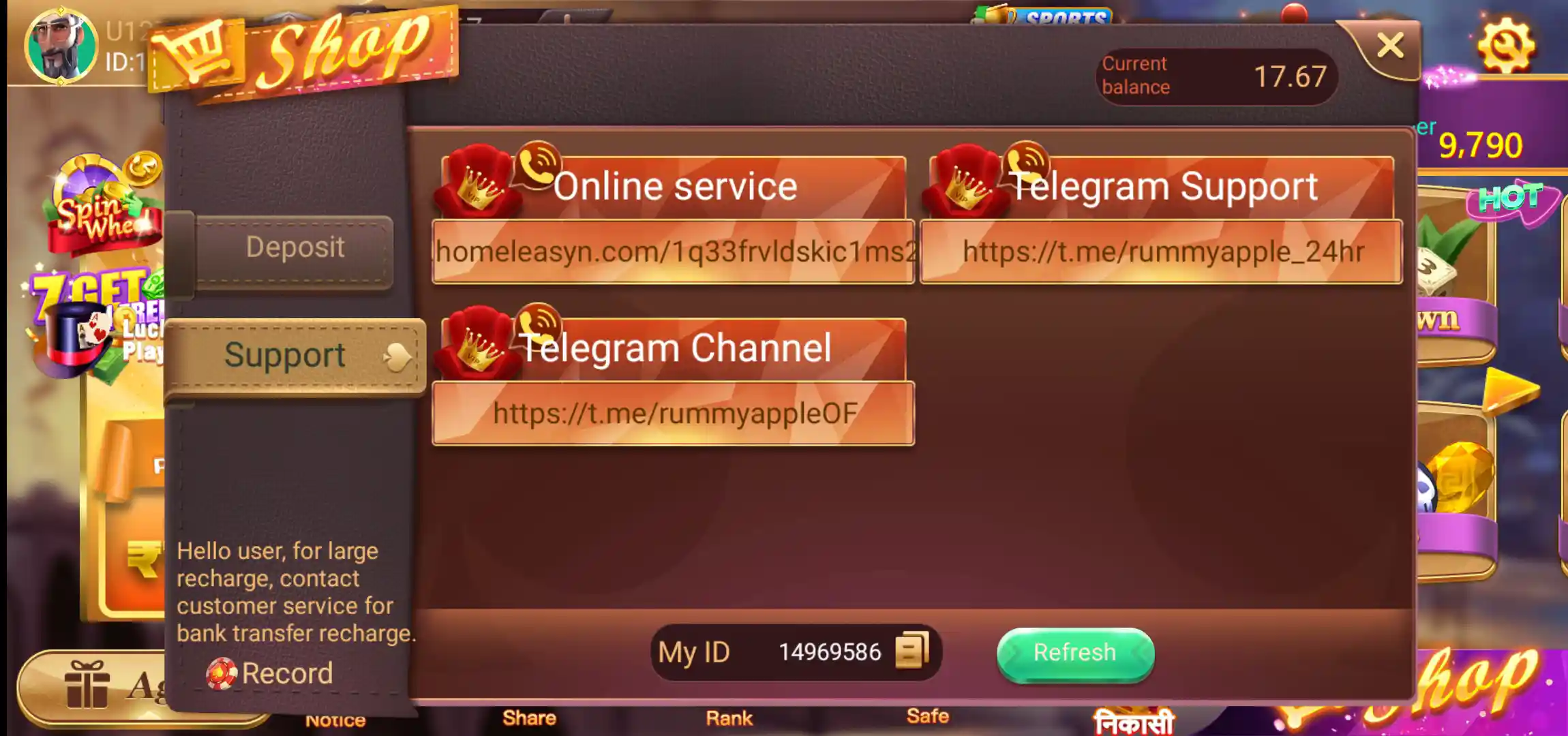 Rummy Apple customer support screen